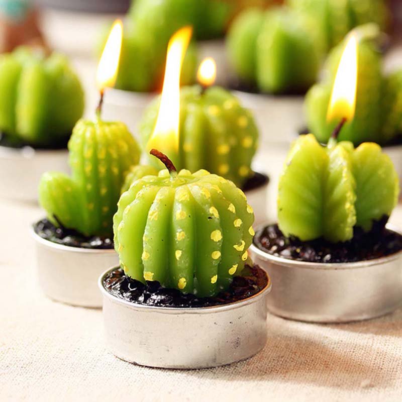 Cactus Candle 6PCS Set